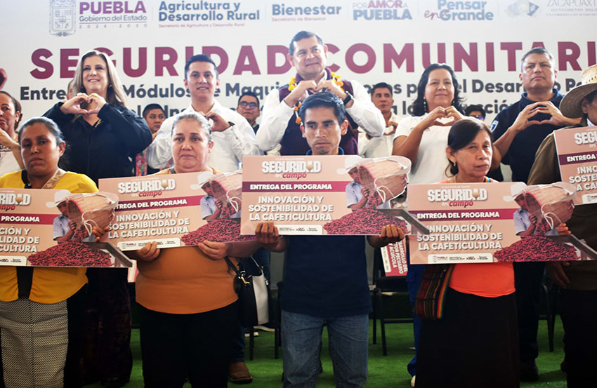 pag7d