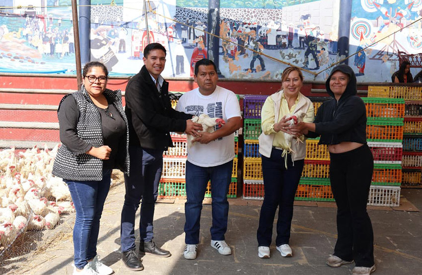 Gobierno de Baltazar Narciso impulsa seguridad alimentaria-4
