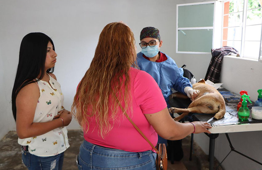 30ª Jornada de Esterilización Canina y Felina Gratuita en Xiutetelco-5