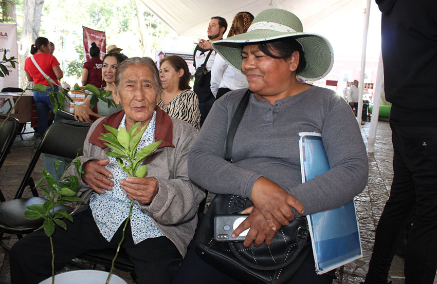 Acerca gobierno estatal capacitación y asesoría-3
