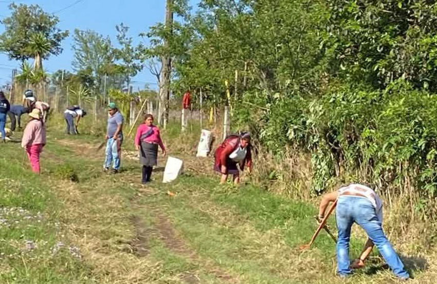Comunidades de Hueyapan mantienen limpios sus caminos-3