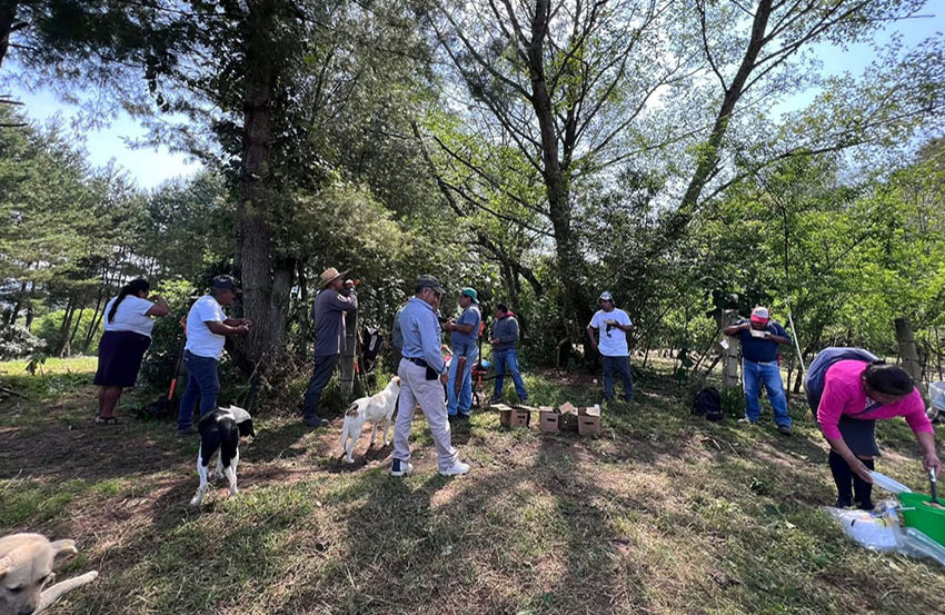 Comunidades de Hueyapan mantienen limpios sus caminos-4
