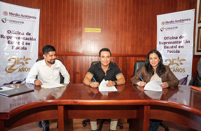 CONAFOR y Tlatlauquitepec firma convenio contra plagas-3